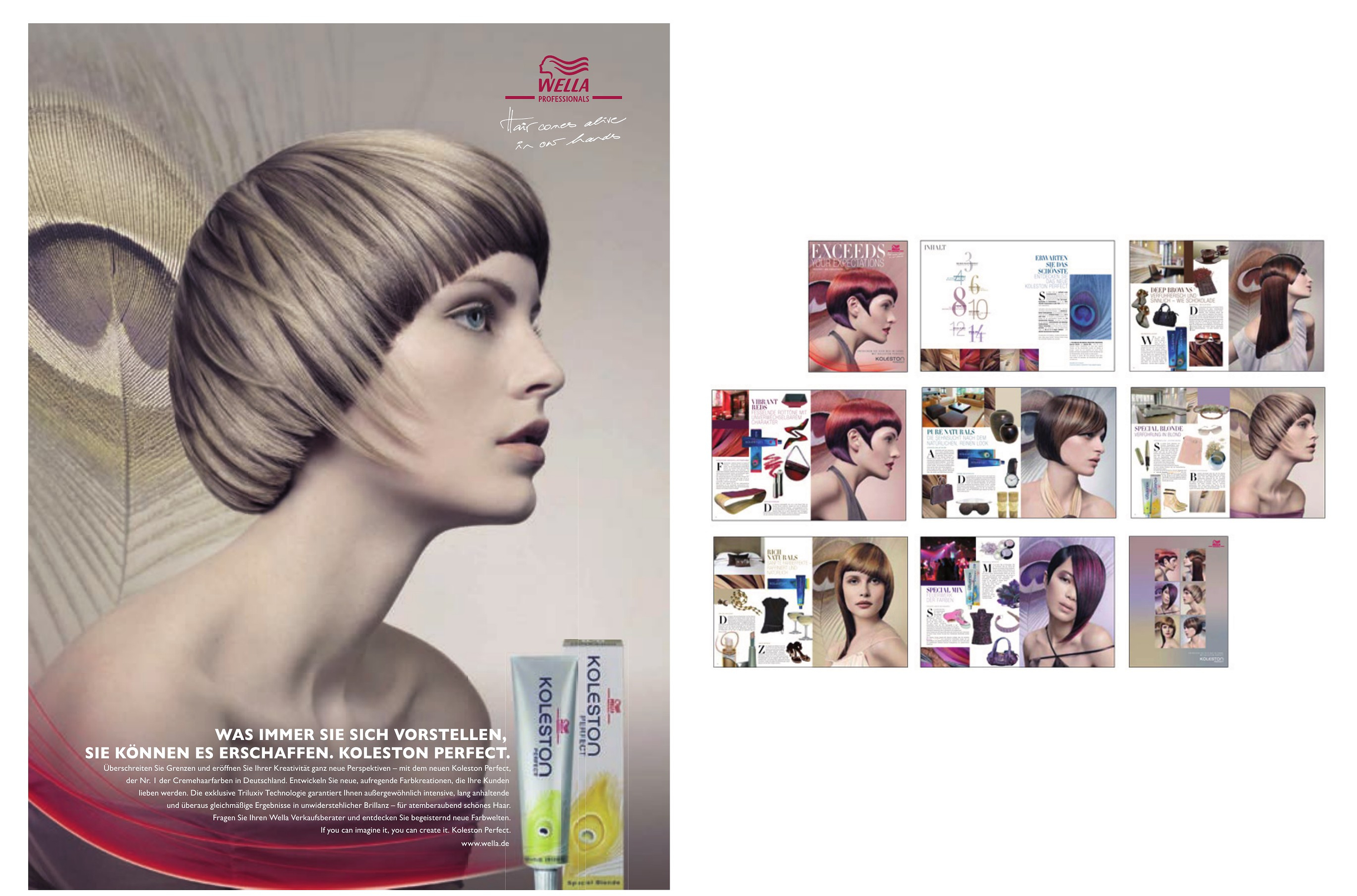 Wella Koleston Perfect communication